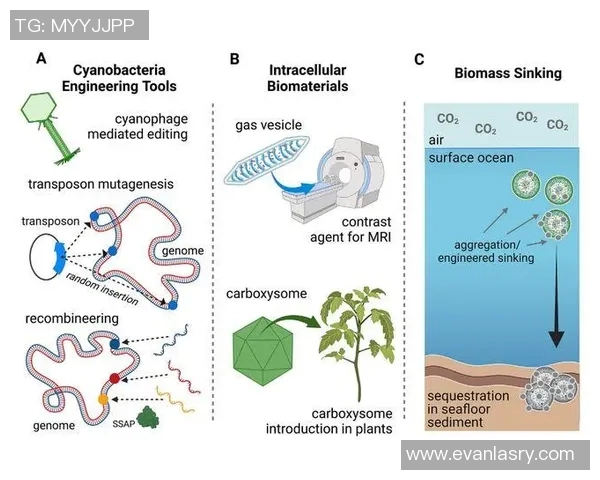 GEN战队新赛季战术调整深度解析与未来展望