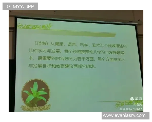 志愿者服务安排与活动计划的全面指南与实施方案